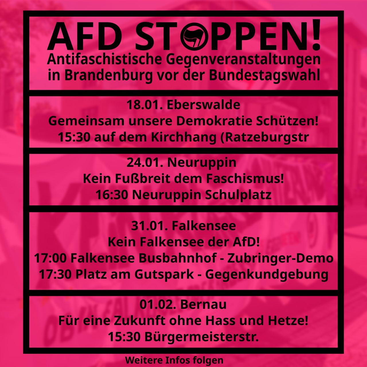 Kein Falkensee der AfD!